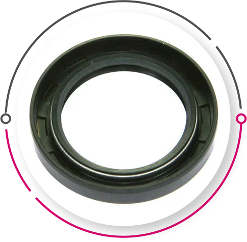 Single Lip Oil Seals